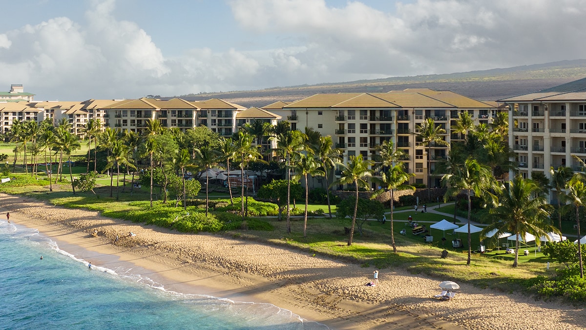 A view of the beachfront property shows multiple buildings surrounded by lush greenery and palm trees. The sandy beach curves along the turquoise water, with guests enjoying the outdoor areas under shaded canopies. The sky is partly cloudy, enhancing the serene coastal ambiance.