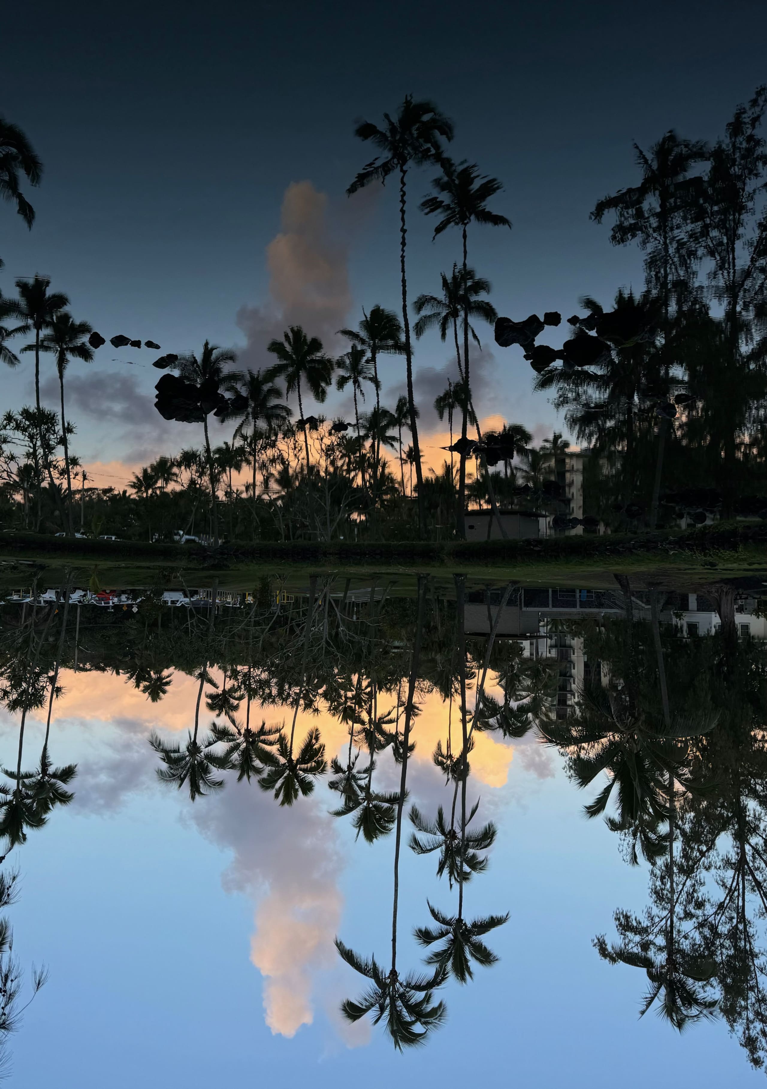 Home in Hilo · ★4.98 · 1 bedroom · 1 bed · 1 private bath - Image 27