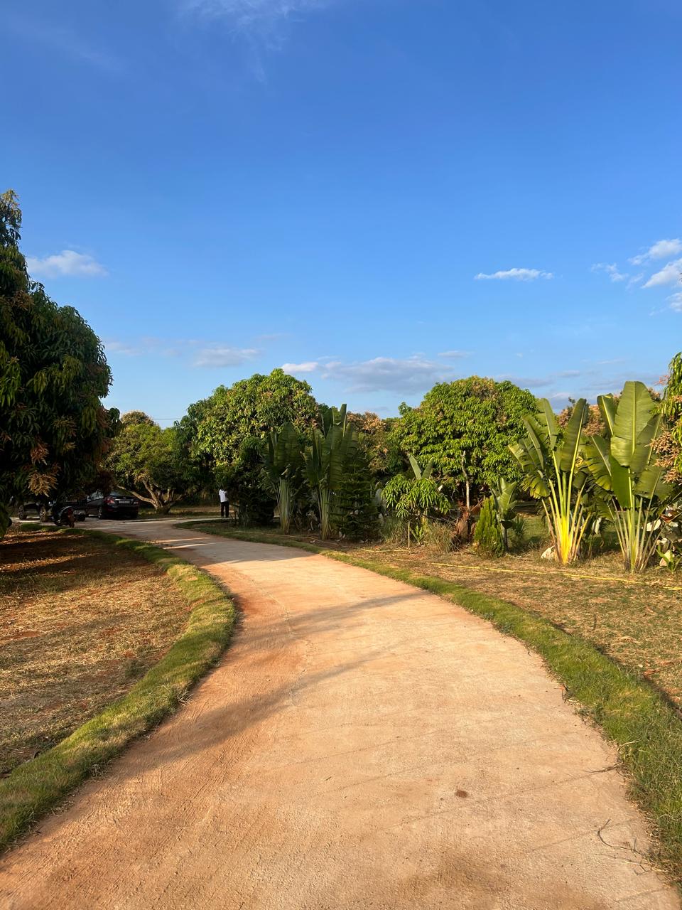 Mavu Days Farm — Full Farm Stay · Mavu Days mango farm stay near Bangalore
