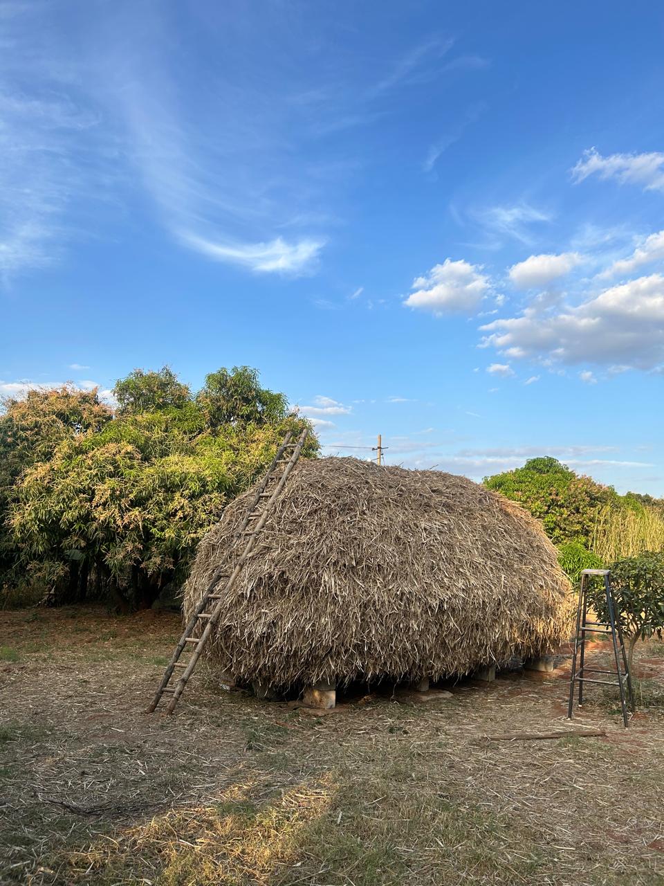 Mavu Days Farm — Full Farm Stay · Mavu Days mango farm stay near Bangalore