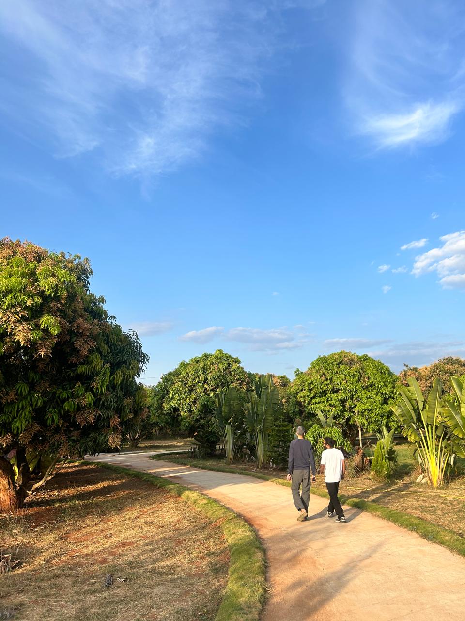 Mavu Days Farm — Full Farm Stay · Weekend getaway near Bangalore at a mango farm