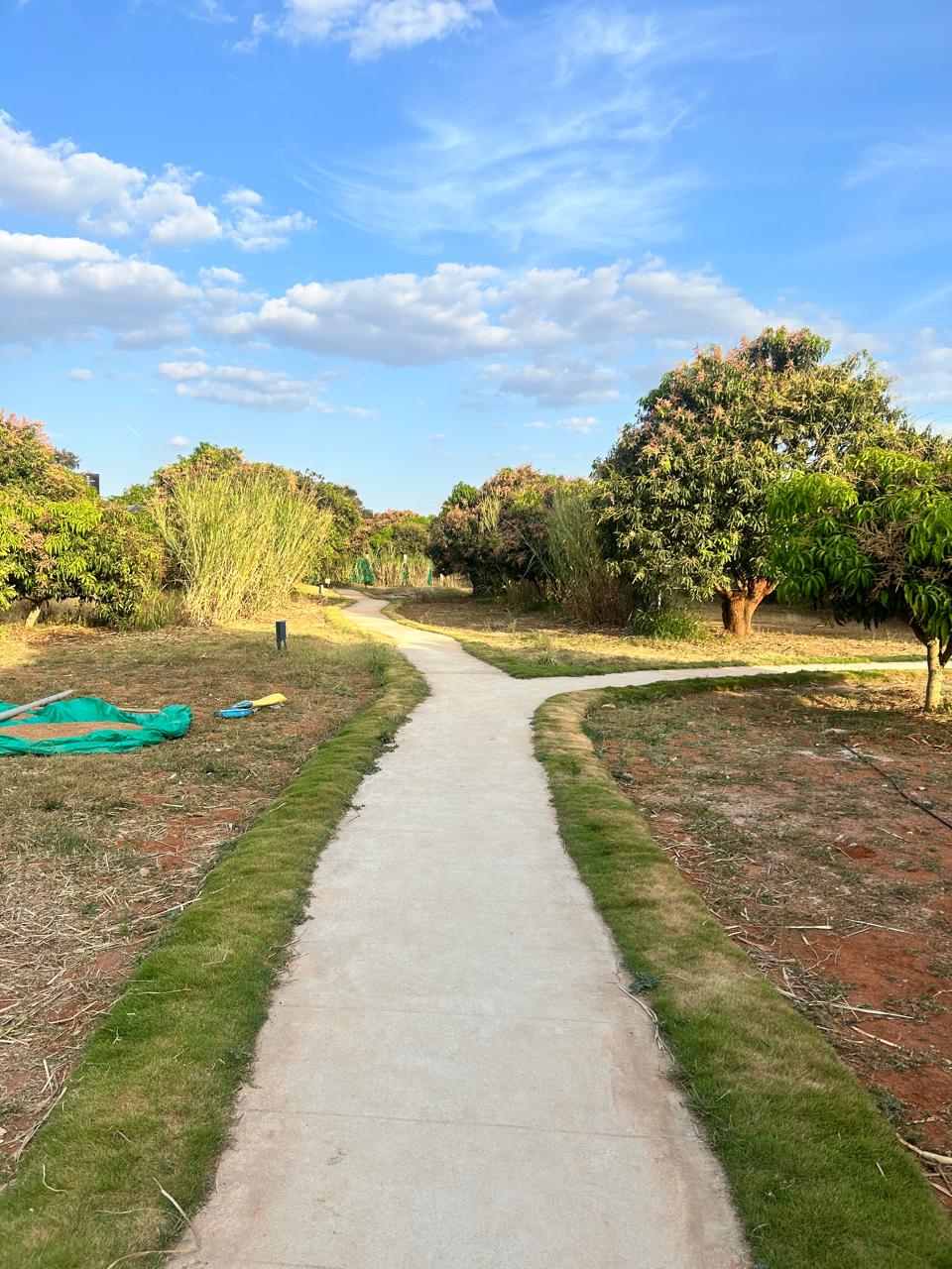 Mavu Days Farm — Full Farm Stay · Peaceful farm stay near Bangalore for families