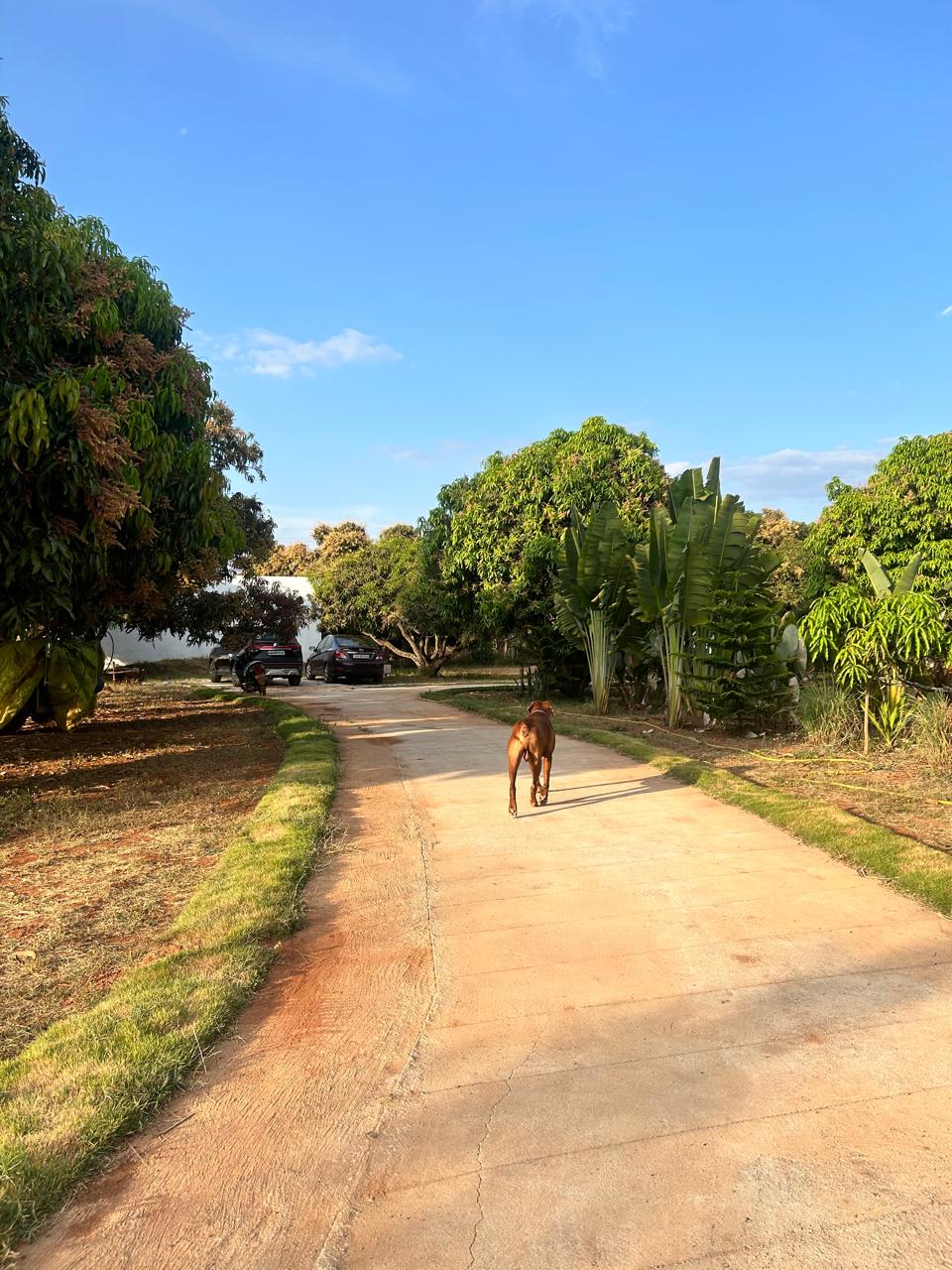 Mavu Days Farm — Full Farm Stay · Private 1BHK villa at Mavu Days farm stay