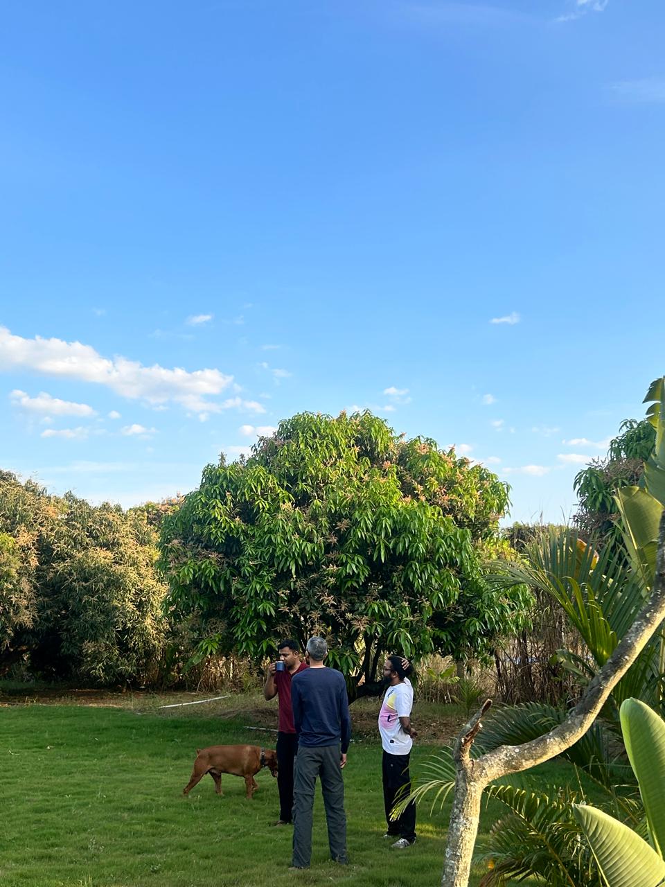 Mavu Days Farm — Full Farm Stay · Weekend getaway near Bangalore at a mango farm