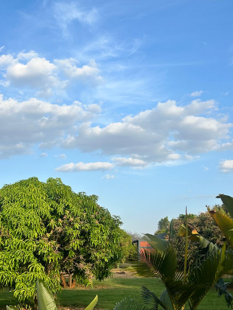 Mavu Days Farm — Full Farm Stay · Private 1BHK villa at Mavu Days farm stay