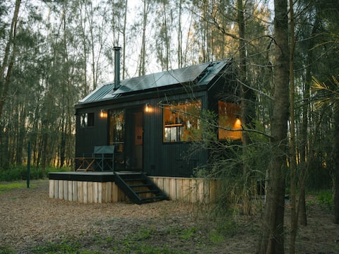 Designer Off-Grid Cabin Hidden in the Vines