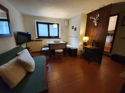 Proprietà Airbnb di successo: Perfect for three, Verrand Courmayeur a Pré Saint Didier