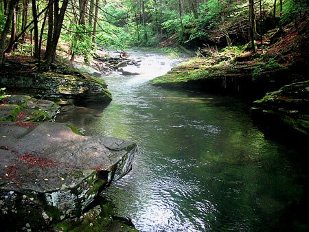A serene stream flows through a wooded area, surrounded by lush green foliage and large rocks. Gentle ripples are visible on the water's surface, reflecting the surrounding landscape. Sunlight filters through the trees, casting soft shadows on the rocks and water.