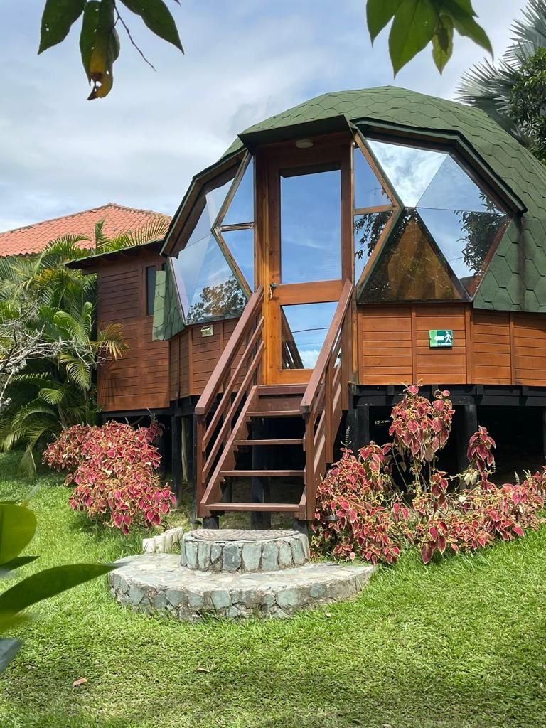 A geodesic dome is set amidst lush greenery, featuring a wooden exterior and large, triangular glass windows. Steps lead to the entrance, surrounded by vibrant flowering plants and a stone path. A red-tiled roof structure is visible in the background.