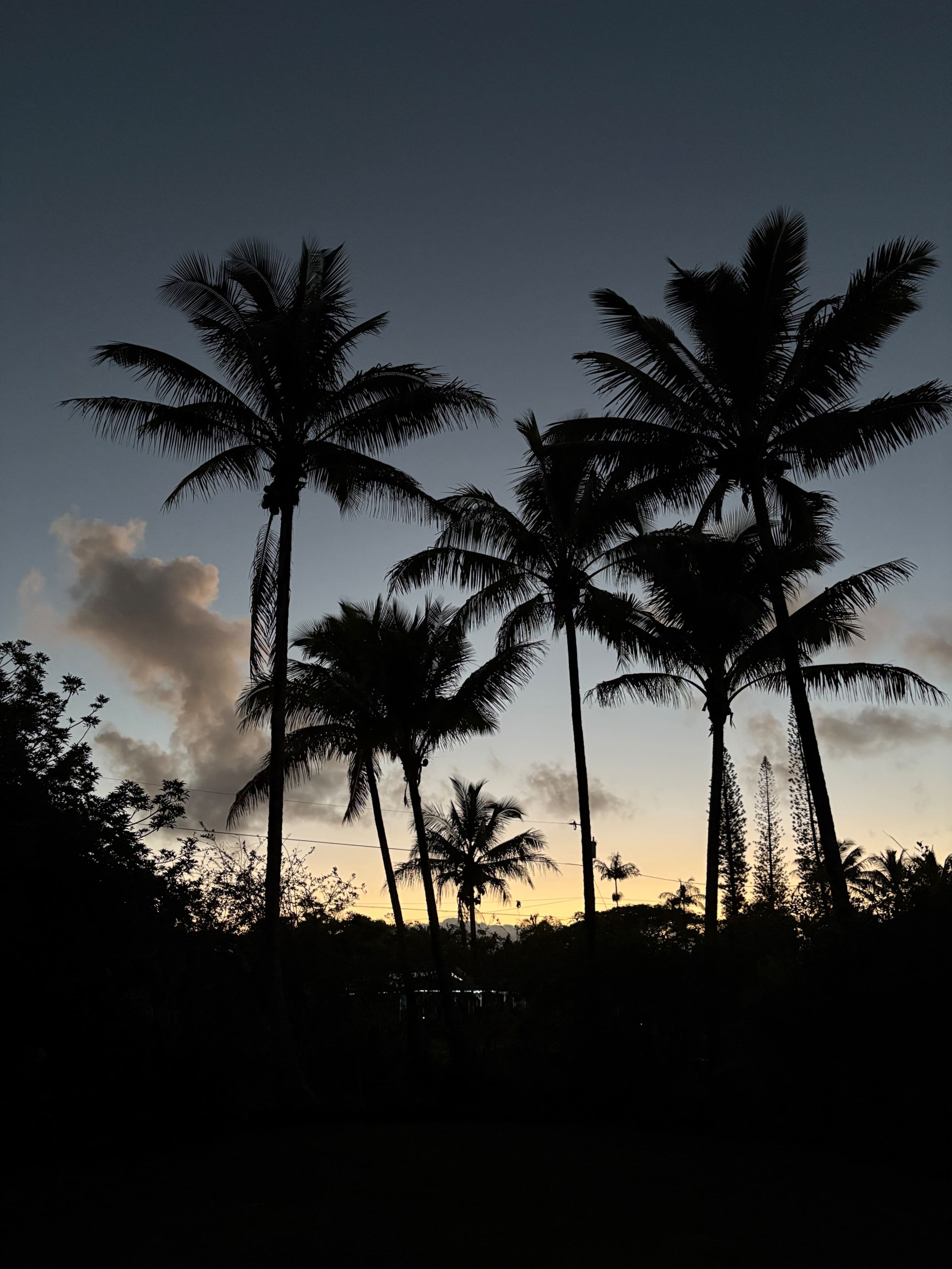 Home in Keaau · ★4.95 · 2 bedrooms · 2 beds · 1 bath - Image 42