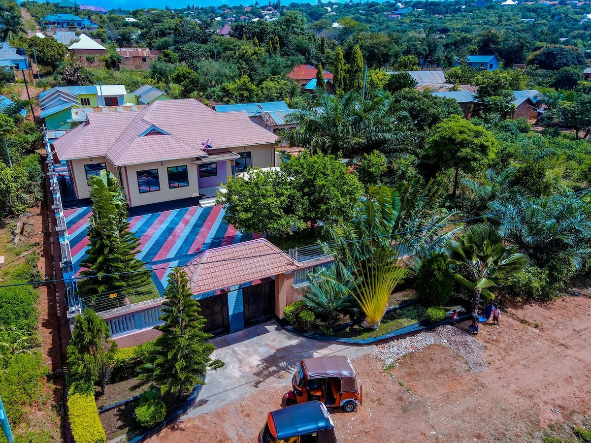 An aerial view of a spacious property is featured, surrounded by lush greenery and a variety of trees. The multi-colored driveway leads to a house with a large patio area. Neighboring homes are visible in the distance, contributing to a vibrant community atmosphere.