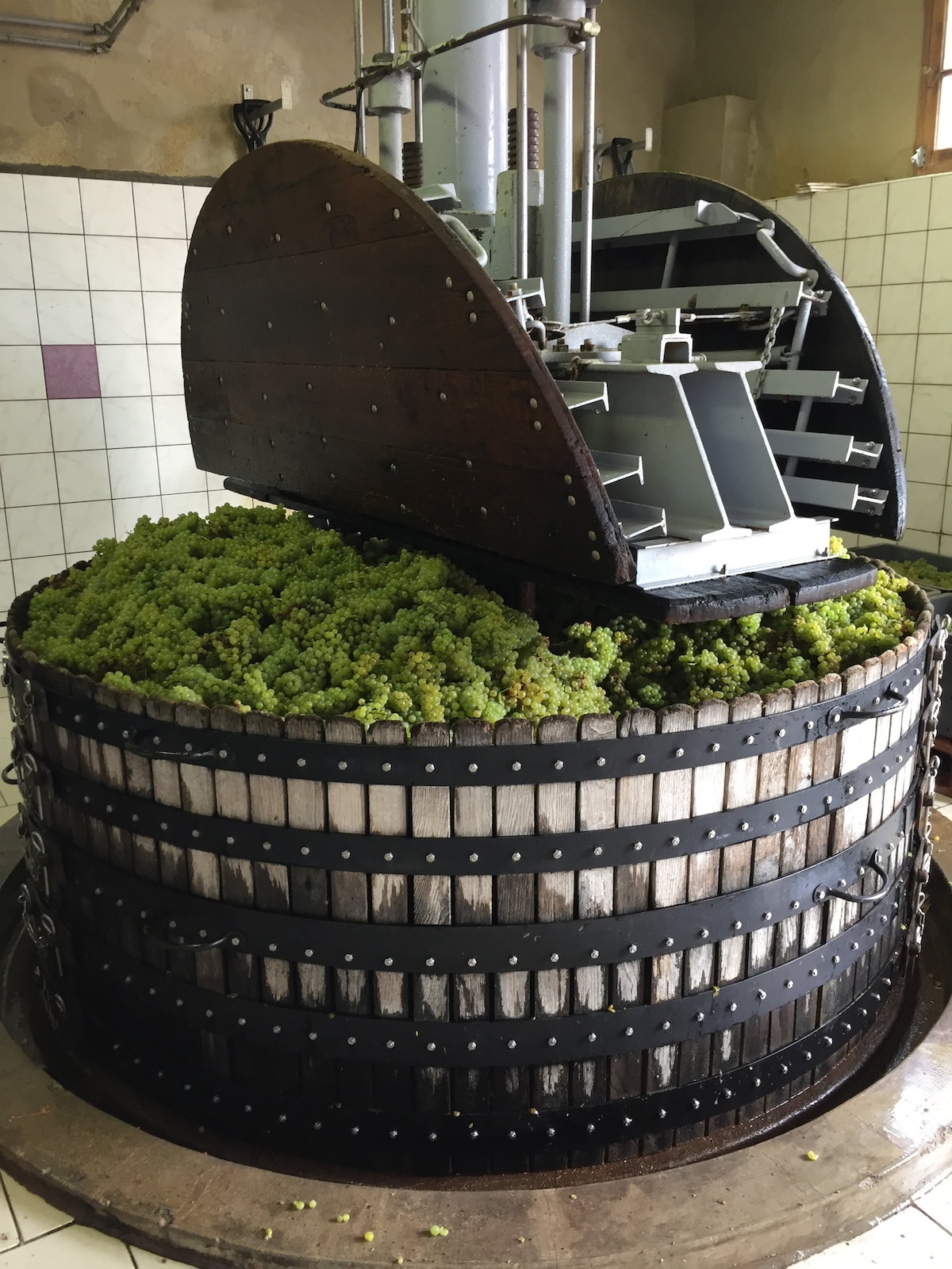 A traditional vertical wine press is displayed, filled with freshly harvested grapes. The press is made of wood and metal, featuring a circular design. The surrounding walls are tiled in light colors, contributing to the rustic ambiance of the winemaking process.