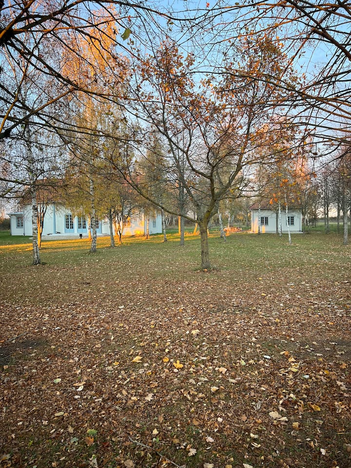 Vacker Modernt Kalkstenshus - Visby