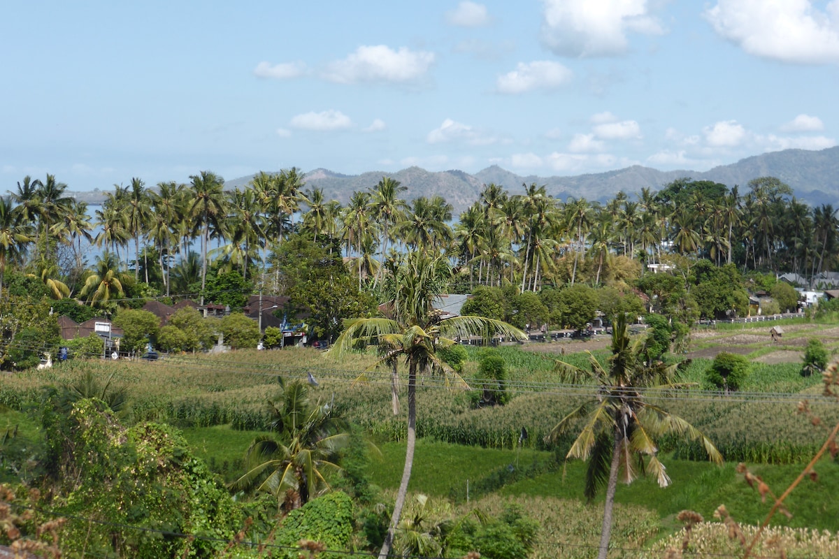 Lush greenery is featured with rice and corn fields stretching into the background. Towering palm trees sway gently, framing the view of distant mountains and the sea beyond. A small village is visible among the trees, contributing to the serene landscape.