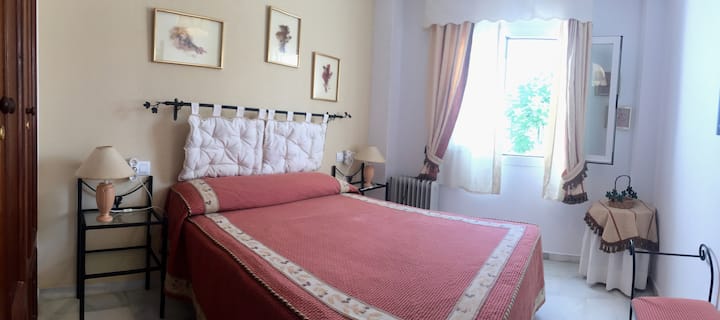 Dhomë gjumi kryesore e ndritshme dhe e dekoruar mirë.