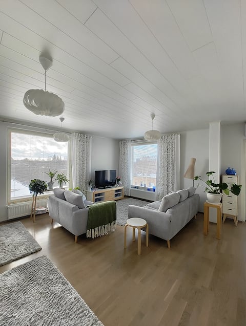 Successful Airbnb property: A triangle with a sauna in the center in Joensuu