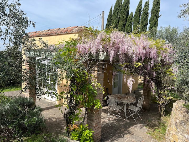 Villa I Mandorli - Scandicci