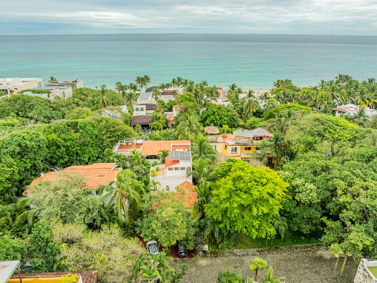 An aerial view captures a lush landscape filled with tropical trees and vibrant foliage, with colorful rooftops nestled among the greenery. The sparkling ocean is visible in the background, enhancing the coastal charm of the area.