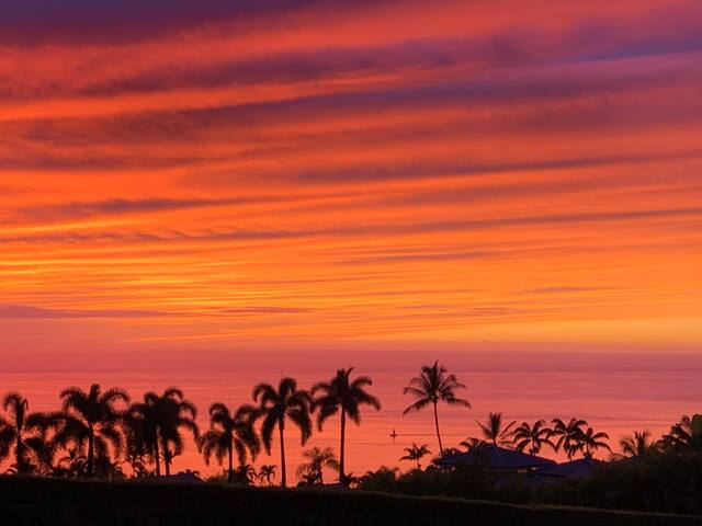 Modern Island Retreat with Best View in the Hood gallery image 3