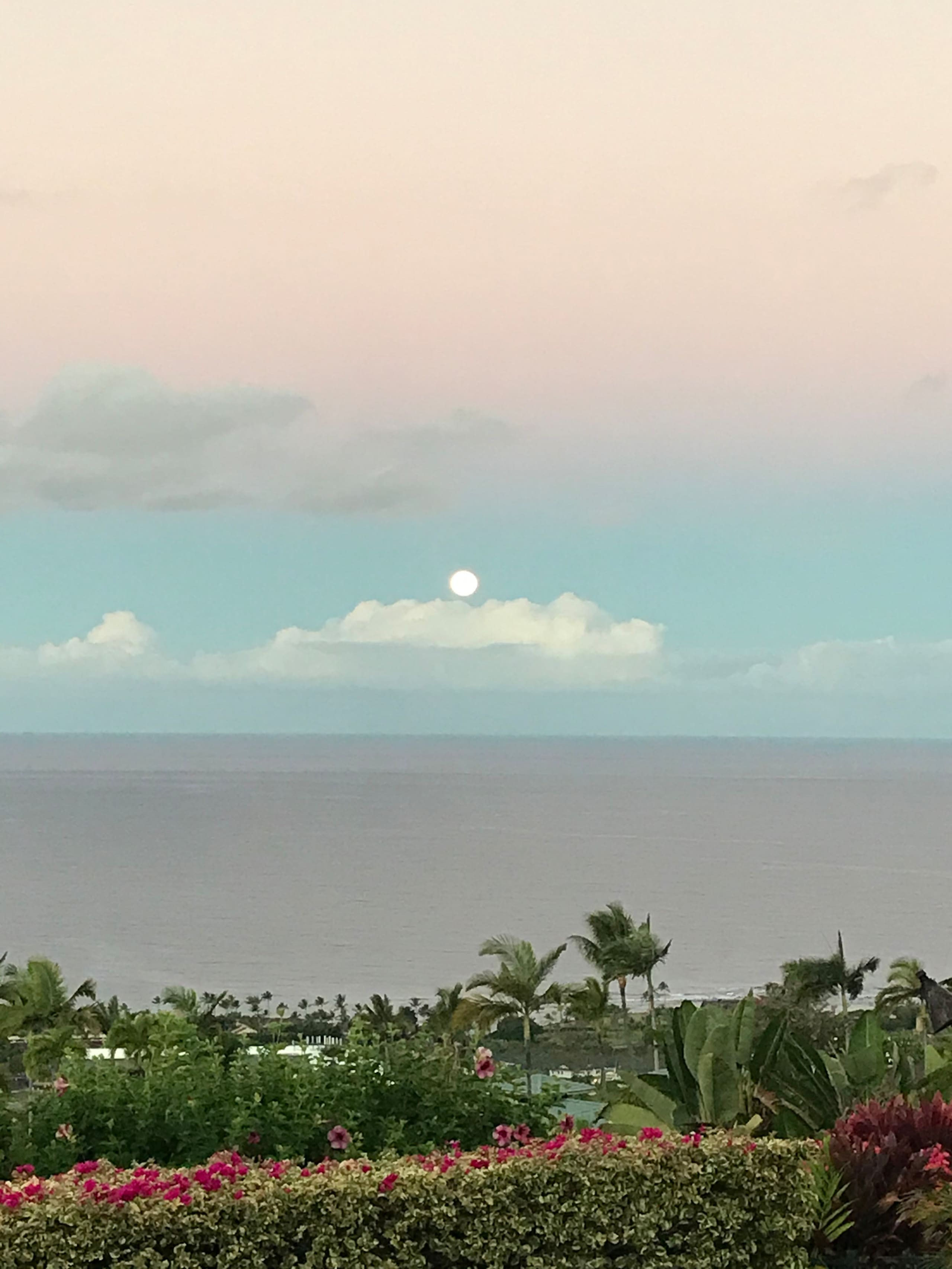 Home in Kailua-Kona · ★5.0 · 4 bedrooms · 4 beds · 4.5 baths - Image 36