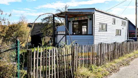 Tiny house with sauna