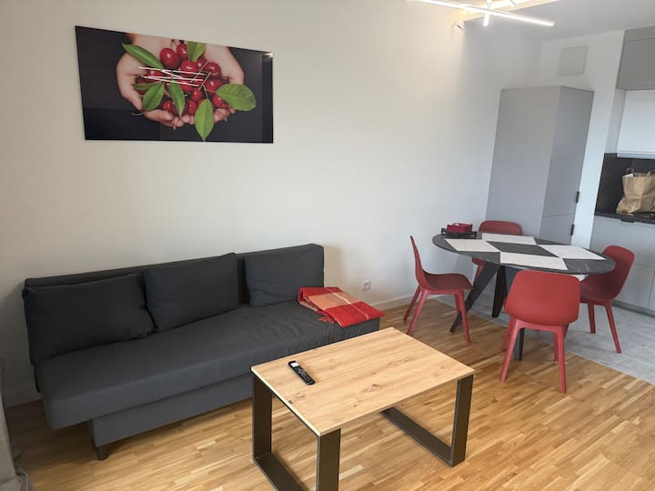 Sweet Harmony- Air Conditioning, Free Parking ŁóDź - 우쯔