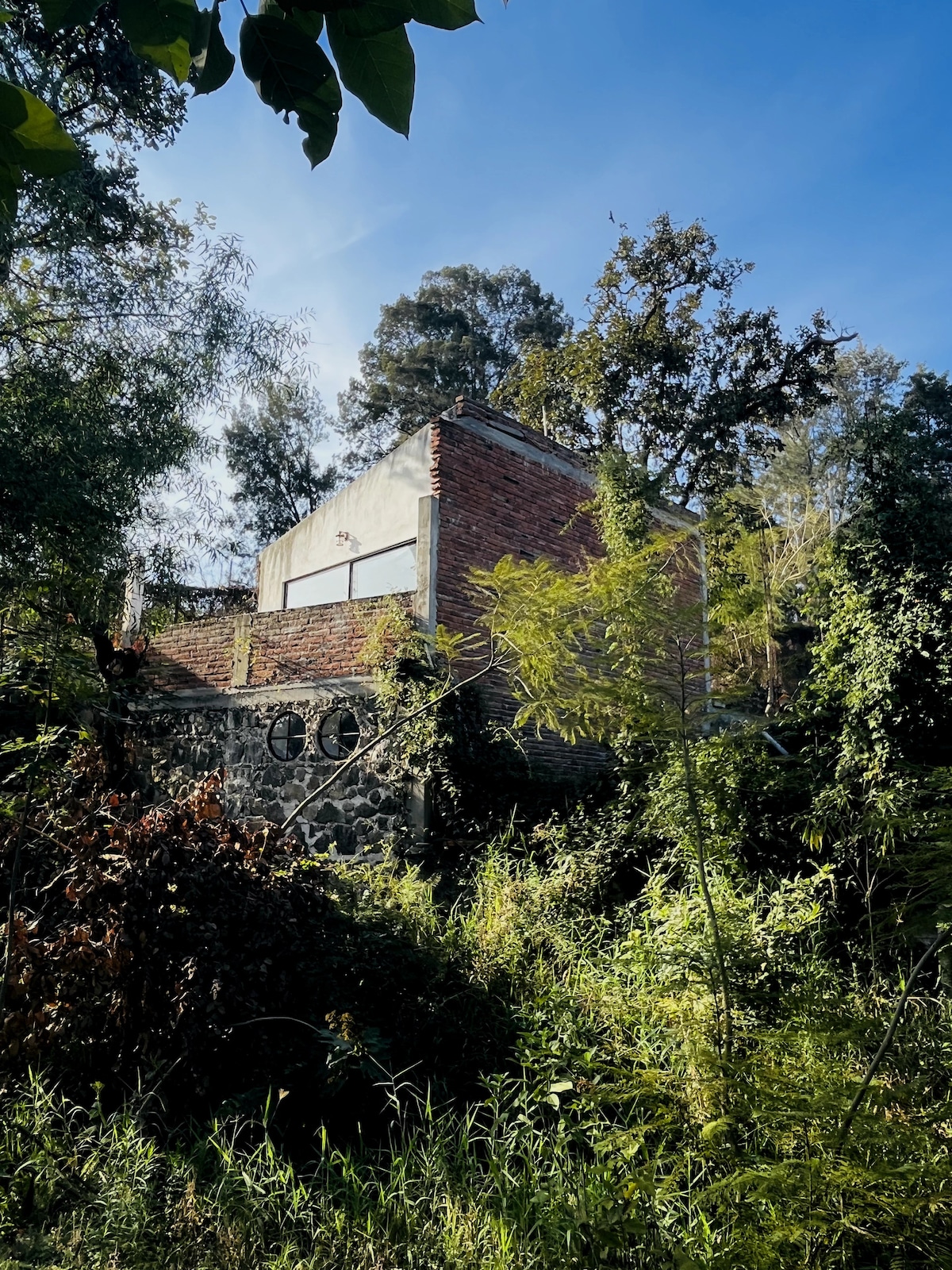 A rustic industrial loft is seen amidst dense greenery, with white brick and circular windows visible. The structure is partially surrounded by trees and plants, reflecting a serene integration with nature under a clear blue sky.