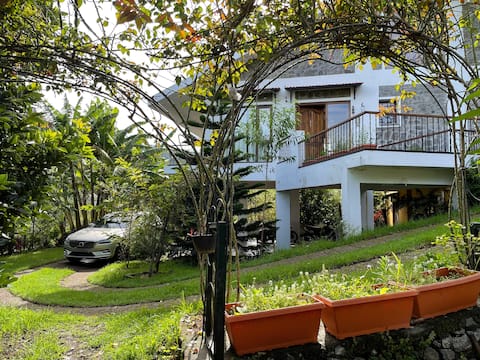The Raintree - a Villa amidst Roses & Mountains