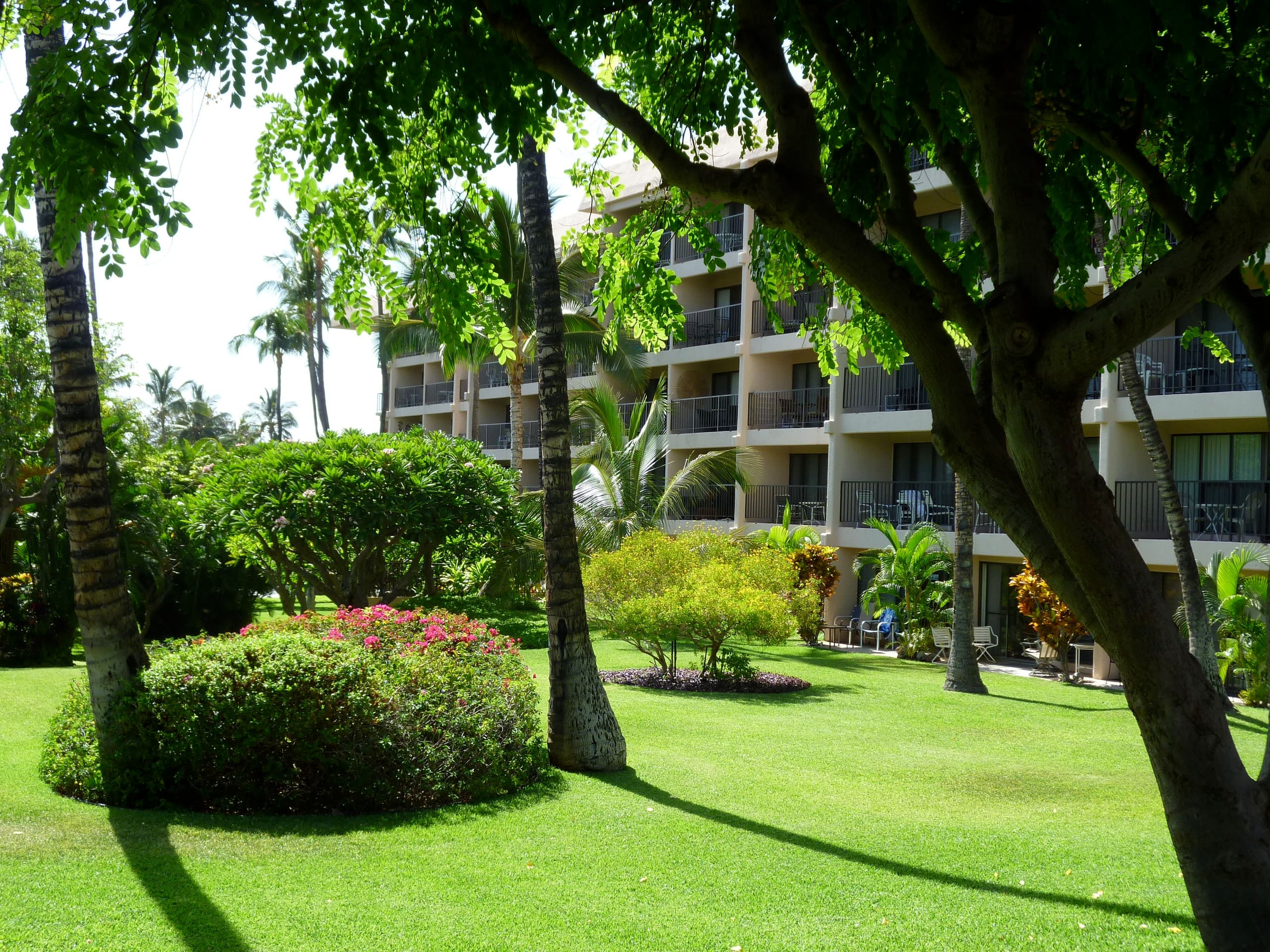 King Bed Shaded Part ocean view - Image 12