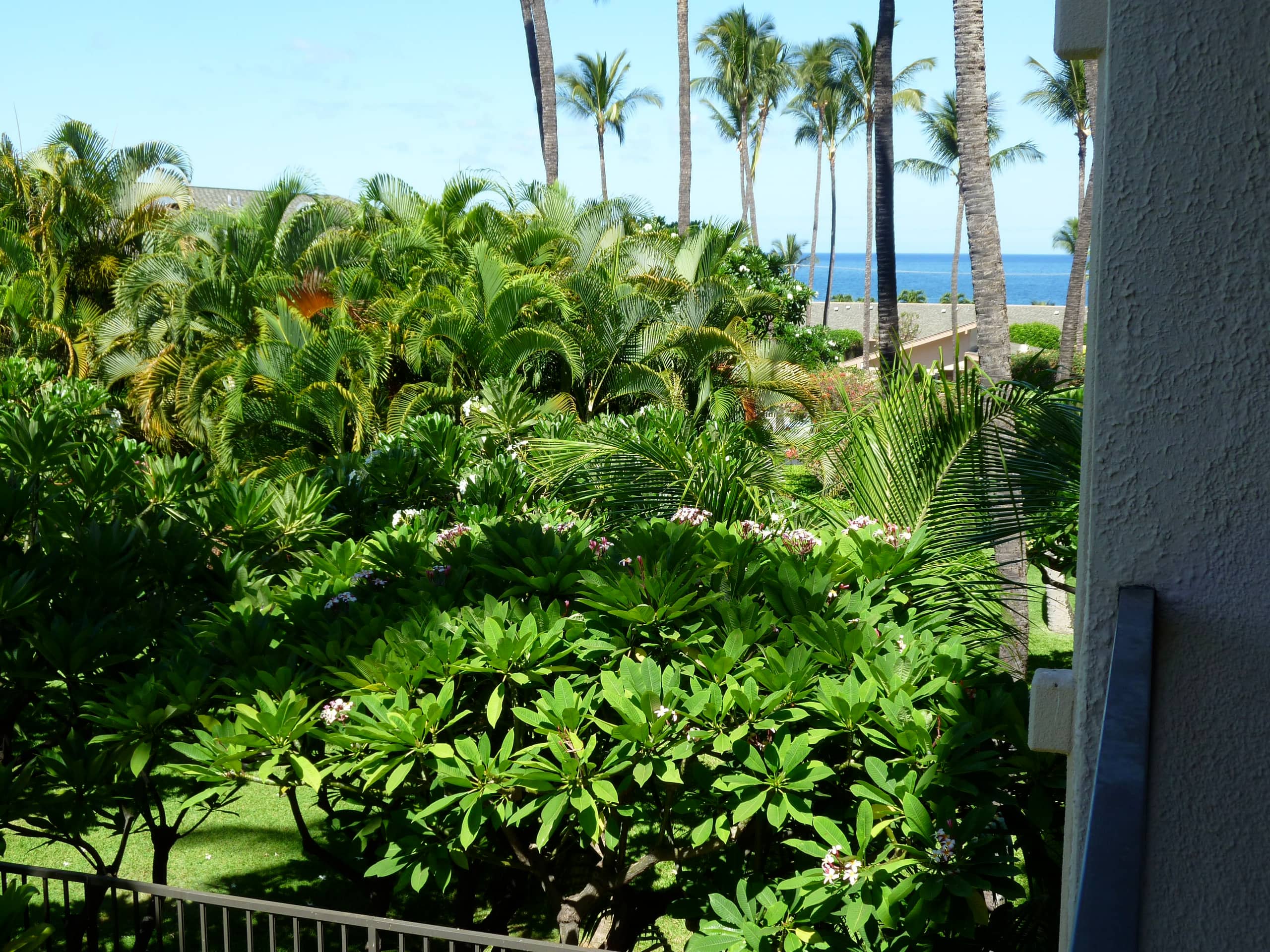 King Bed Shaded Part ocean view - Image 1