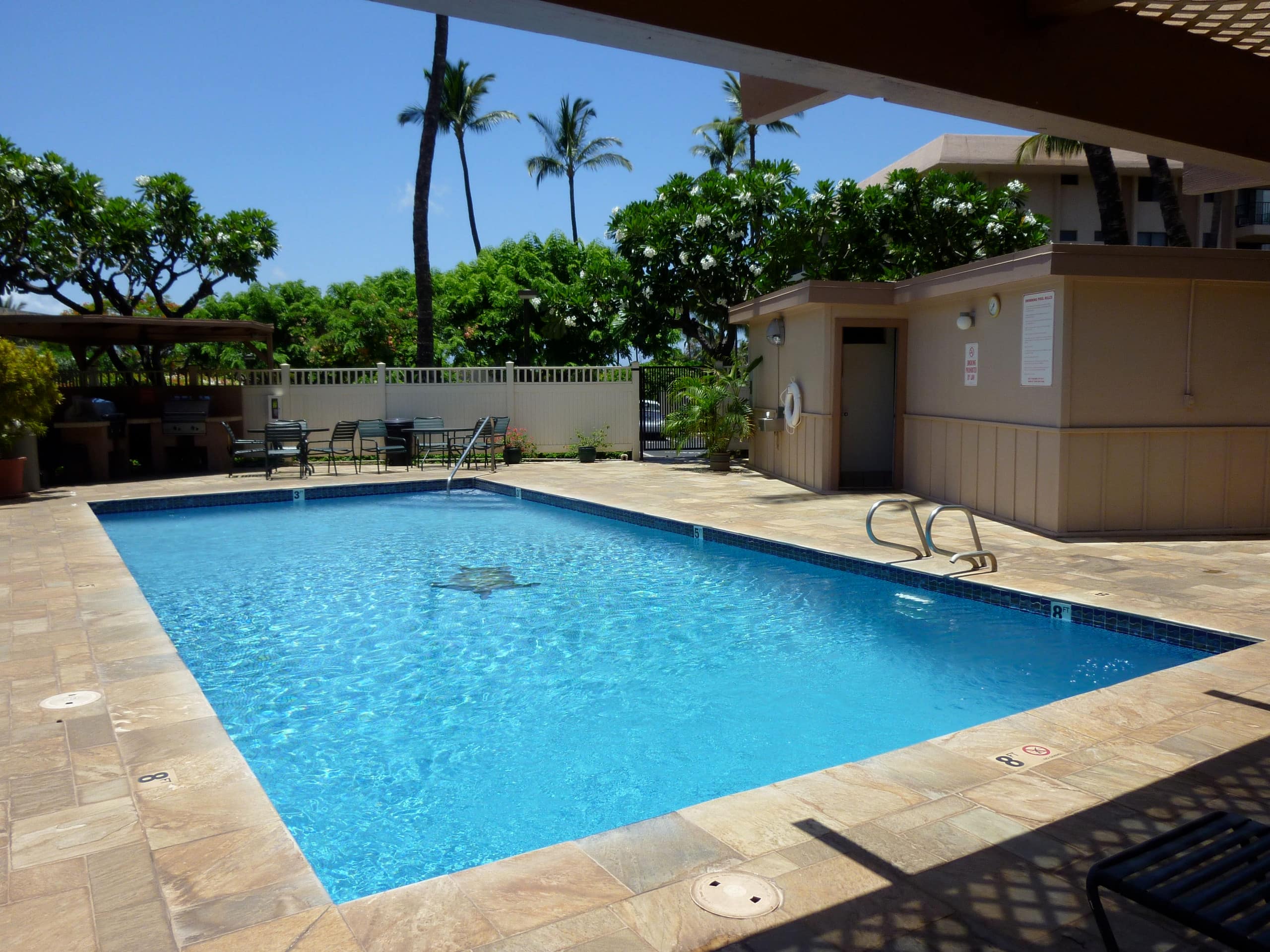 King Bed Shaded Part ocean view - Image 15