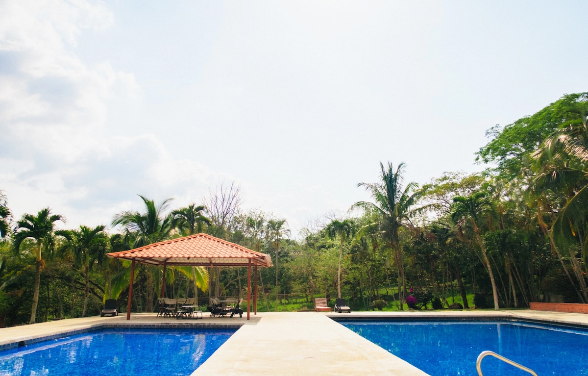 A large pool area features a crystal-clear blue swimming pool surrounded by lush greenery. A shaded gazebo with seating is positioned nearby, providing a relaxing space for guests. Tall palm trees and vibrant vegetation create a serene outdoor environment.
