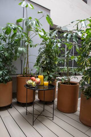 Casa JuliAna Condesa-For Groups gallery image 2