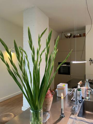 Light and spacious flat in the middle of Nørrebro gallery image 3