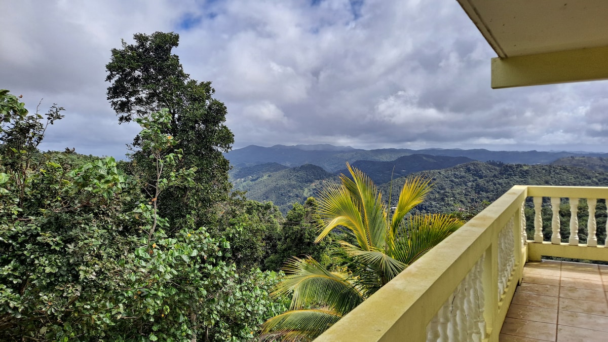 A scenic view of rolling mountains is framed by lush greenery and tropical plants. The expansive landscape features a mix of deep greens and hints of blue in the distant peaks, under a cloudy sky that adds depth to the natural surroundings.