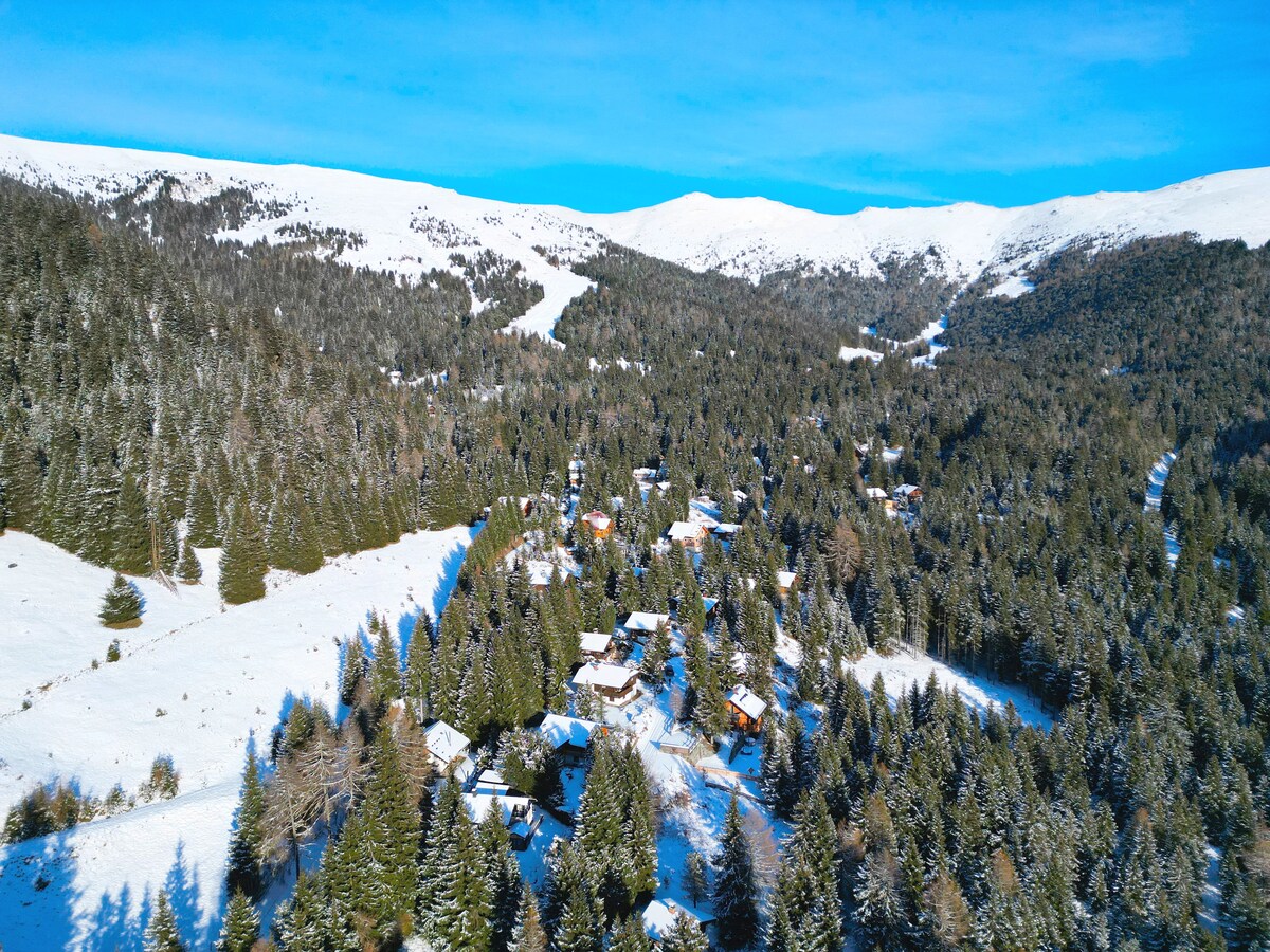 Aerial view captures a serene winter landscape blanketed in snow, surrounded by dense forests. Cozy cabins are interspersed among the trees, with mountain peaks rising in the background under a clear blue sky.