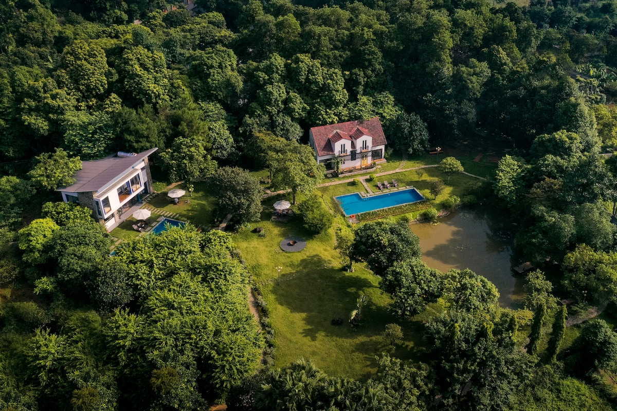 An aerial view captures the expansive green surroundings, showcasing two distinct buildings by the shimmering pools. The lush landscape features various trees, with inviting sitting areas visible near the water, promoting a serene and nature-rich environment.