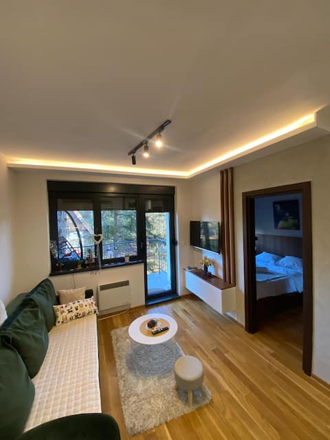 Popular Airbnb listing: Lana's Place Apartment, Titova Vila in Чајетина