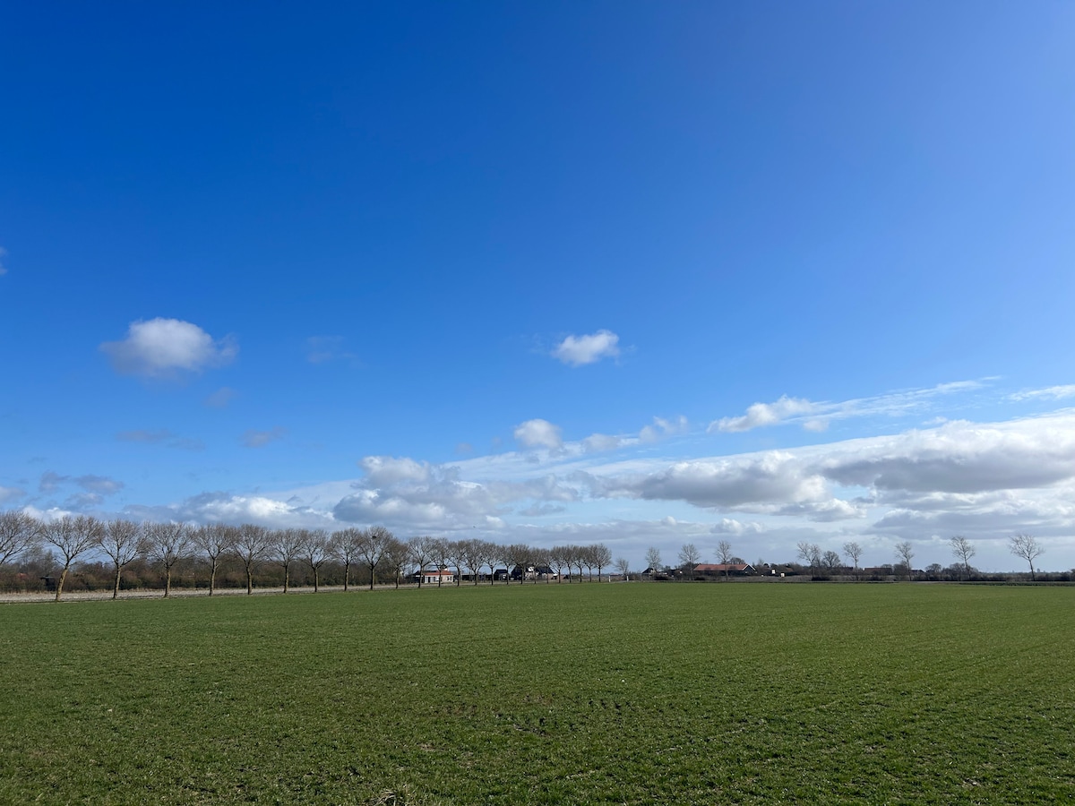 A vast green field stretches under a clear blue sky, dotted with a few clouds. In the distance, a row of bare trees lines the horizon, leading to several distant structures that blend into the natural backdrop.