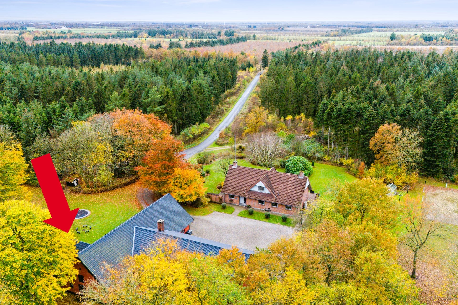 Childfriendly home in the woods