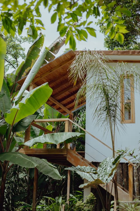 Cinco Cerros | Banana Cabin