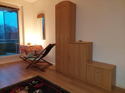 Erfolgreiche Airbnb-Immobilie: One-room apartment on the outskirts of town in Dölitz Dösen