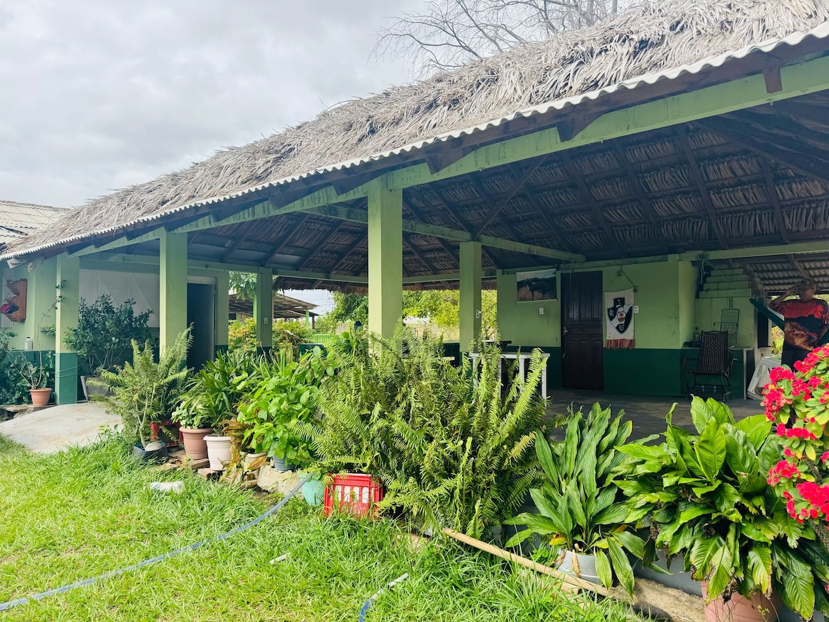 A spacious outdoor area features a thatched roof providing shade. Lush greenery is surrounded by various potted plants. Open spaces can be seen, inviting the tranquility of nature. The structure’s natural materials blend harmoniously with the environment.