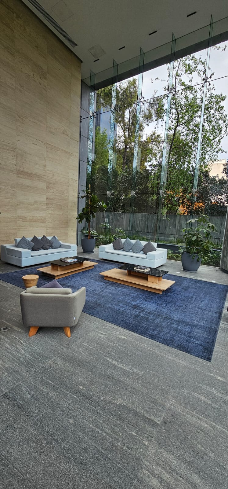 A modern lounge area features large windows allowing natural light to fill the space. Two comfortable sofas are placed around a central coffee table, complemented by potted plants adding greenery. A single accent chair is positioned nearby on a bold blue rug, enhancing the inviting atmosphere.