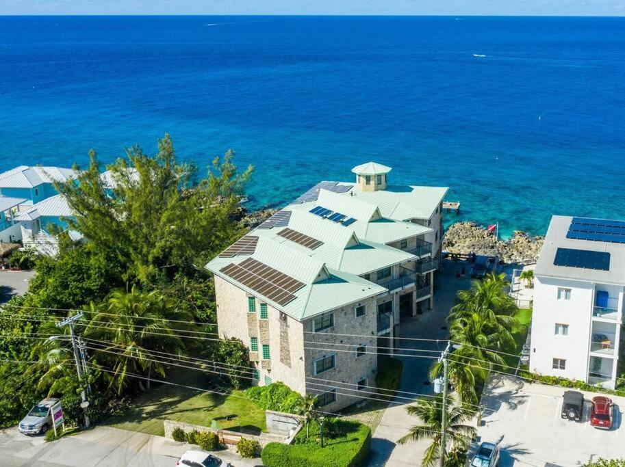 An aerial view of the oceanfront condo showcases the building's robust structure with a green roof, surrounded by lush greenery and palm trees. The crystal-clear water of the cove pool and dock are visible, emphasizing the proximity to the ocean. Nearby vehicles and the road are also included in the scene.