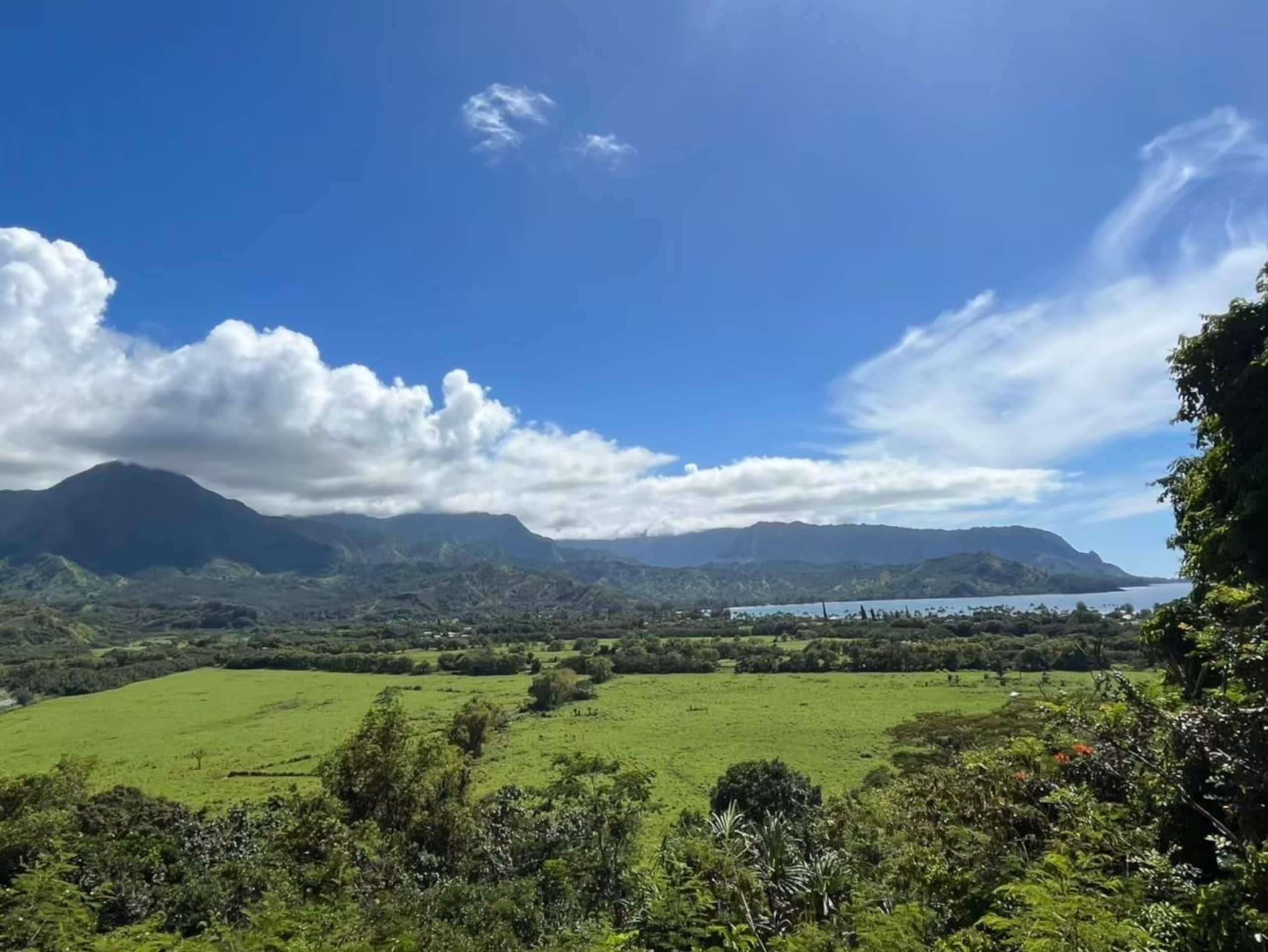 Condo in Honolulu · ★4.75 · 1 bedroom · 1 bed · 1 private bath - Image 38