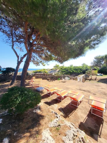 Villa bepy sul mare nel paradiso di cala verde