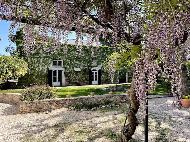 True Puglia countryside experience in masseria
