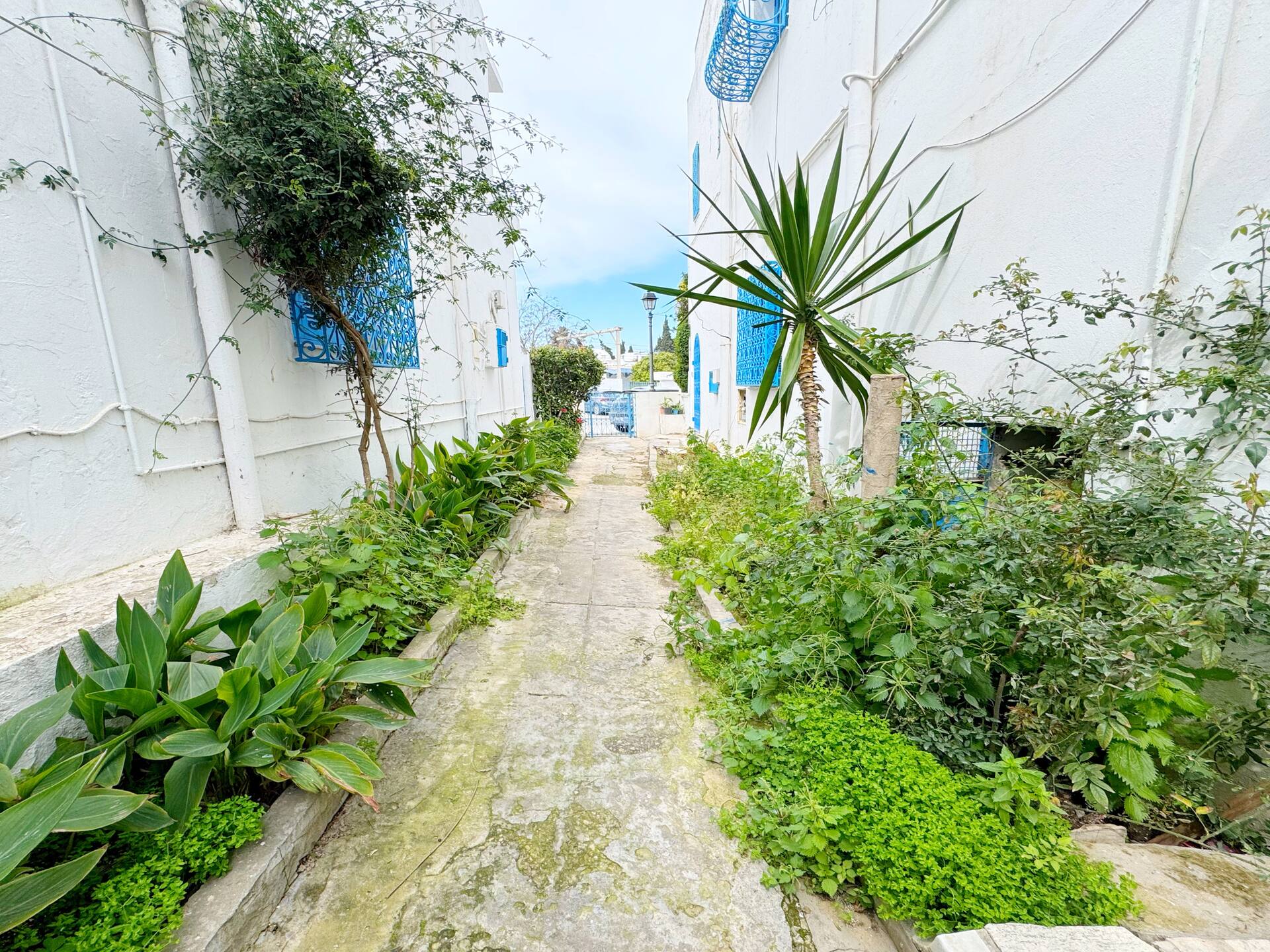 Loft de style à Sidi Bou Said — Sidi Bou Said · Photo 22
