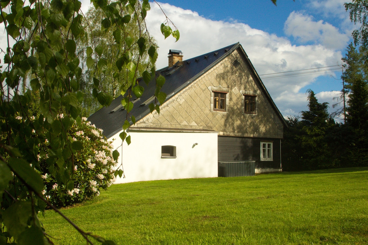A traditional chalet is depicted amidst a lush green landscape, showcasing a combination of textured siding and a sloped roof. The surrounding grassy area is well-maintained, with trees providing a natural frame, complemented by a clear sky in the background.